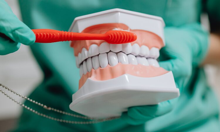Understanding what to look for with gum disease can make all the difference in maintaining a healthy mouth.